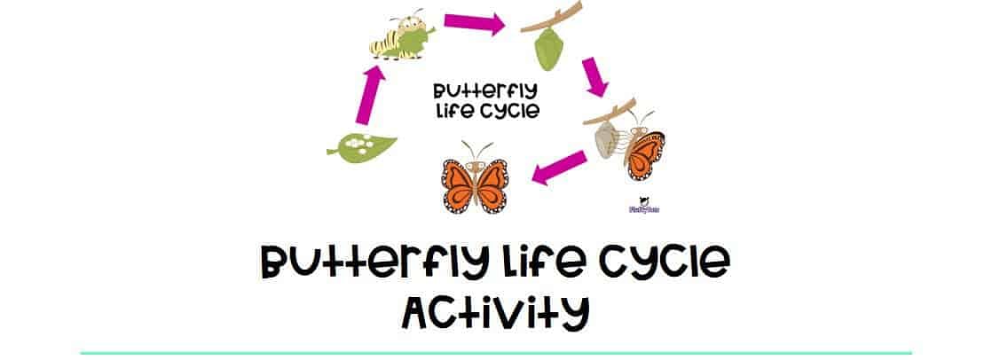 butterfly life cycle