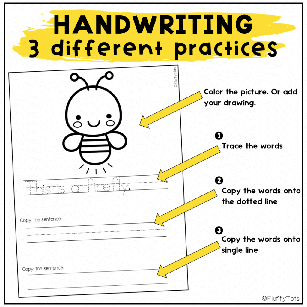 Bugs Word Wall : FREE 12 Bugs Vocabulary 29