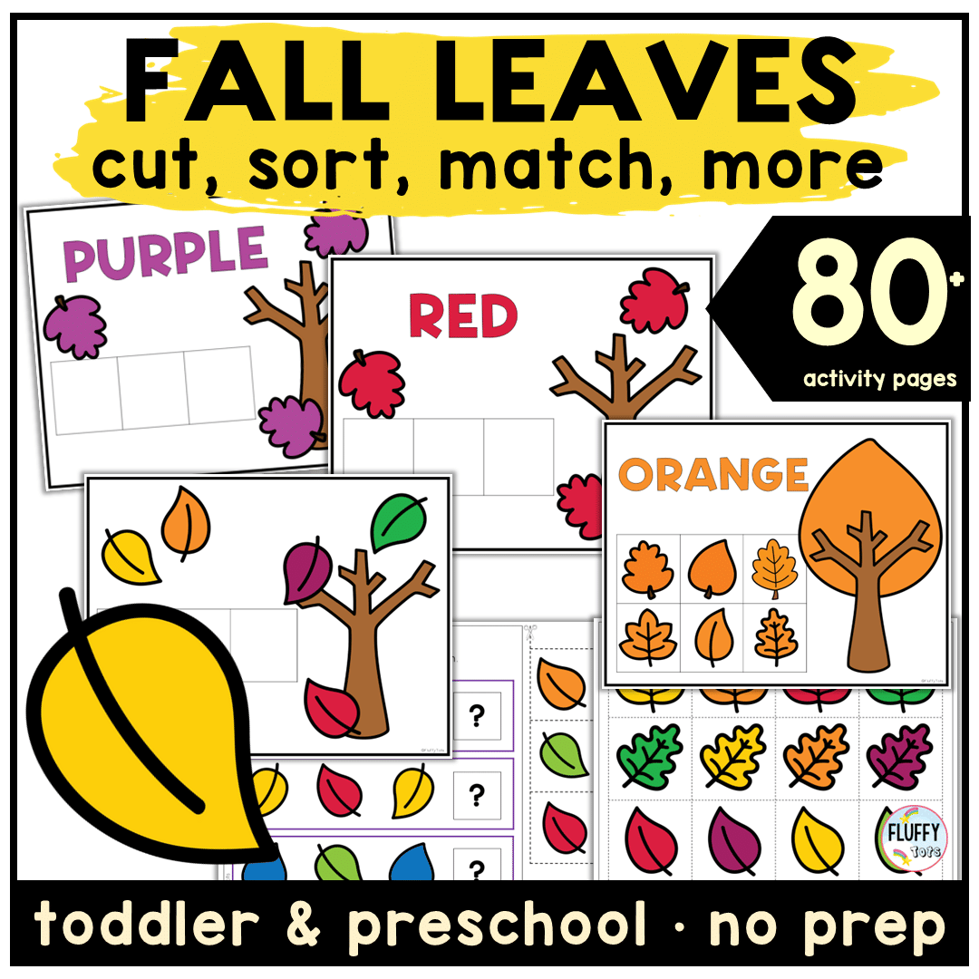 Fall Leaves Type Sorting Activity : FREE 3 Types of Leaves 3