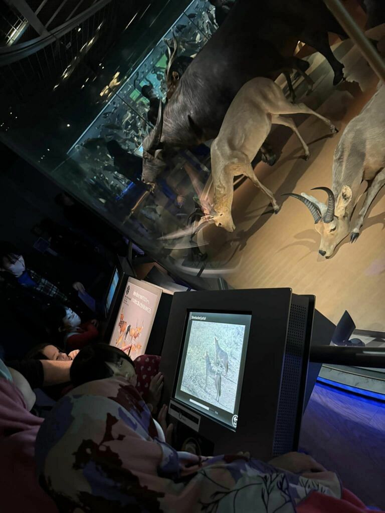 Ueno with Kids : Ueno National Museum of Nature and Science and Ueno Park 6 Ueno with Kids : Ueno National Museum of Nature and Science and Ueno Park 5