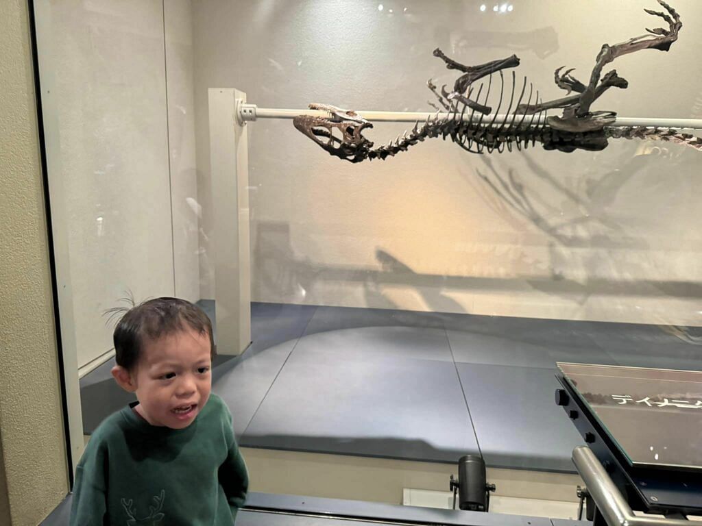 Ueno with Kids : Ueno National Museum of Nature and Science and Ueno Park 4 Ueno with Kids : Ueno National Museum of Nature and Science and Ueno Park 3